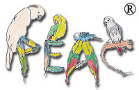 Parrot Education & Adoption Center, a 501(c)(3) organization incorporated in the State of Alaska